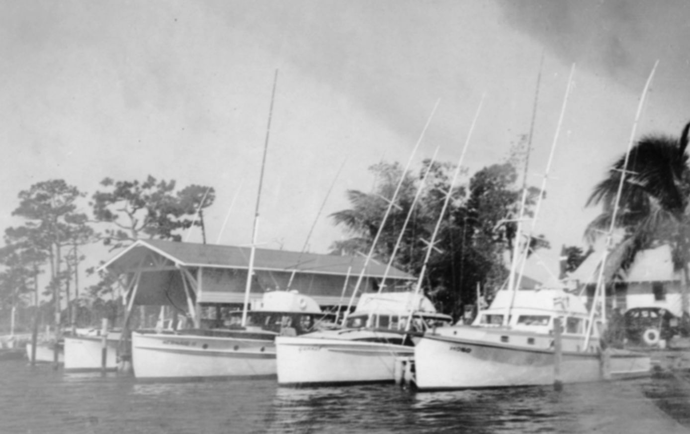 Click to See Next Image